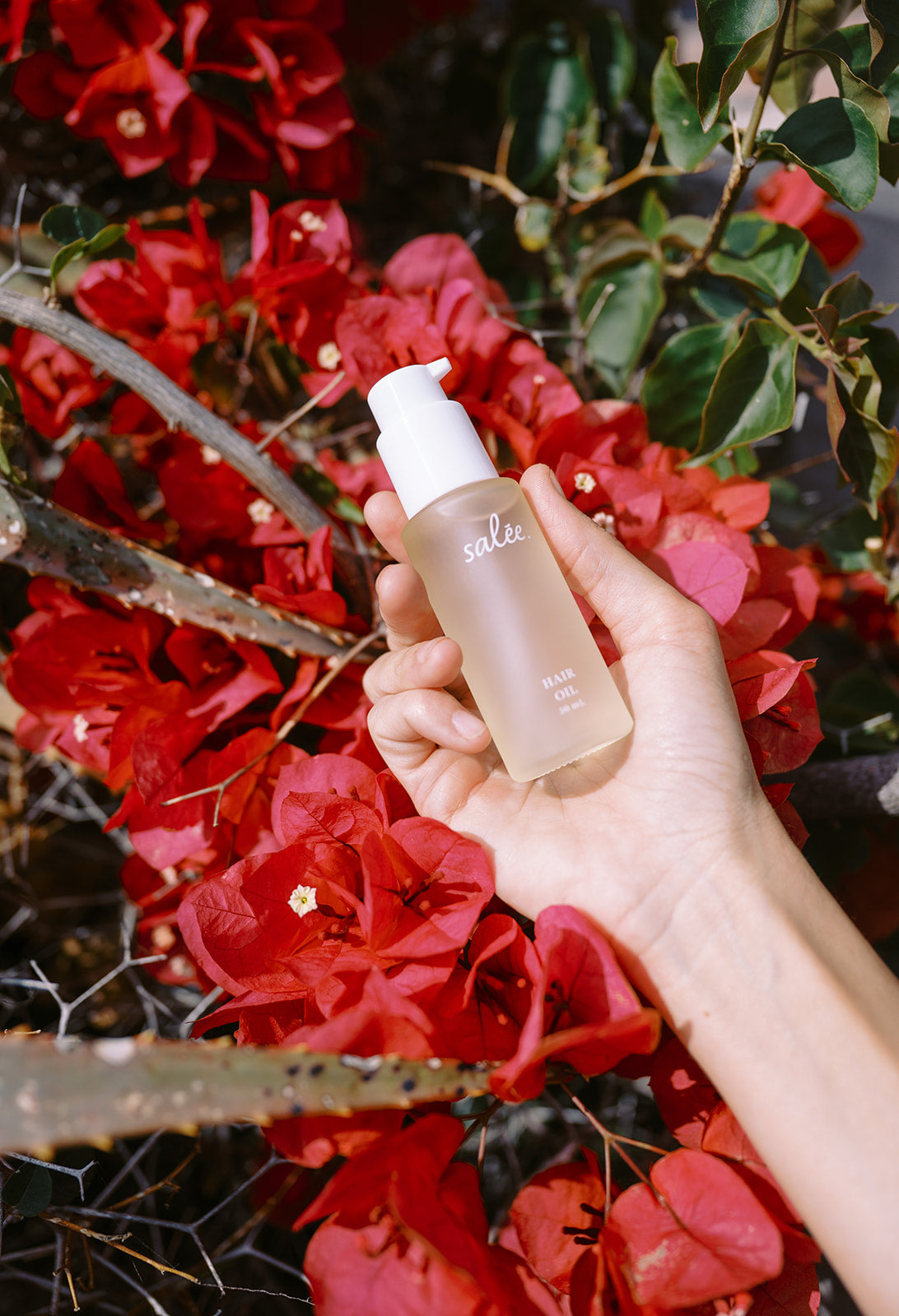 Roots and Radiance Bundle